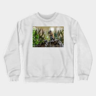 Chipmunk on its Favorite Stump Crewneck Sweatshirt